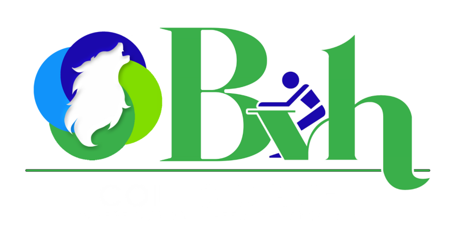 Colegio Bilingue Vista Hermosa